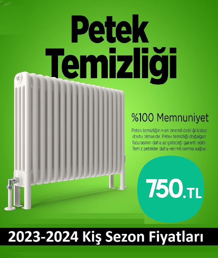 Ataşehir Petek Temizliği Tek Fiyat Teklifi Al